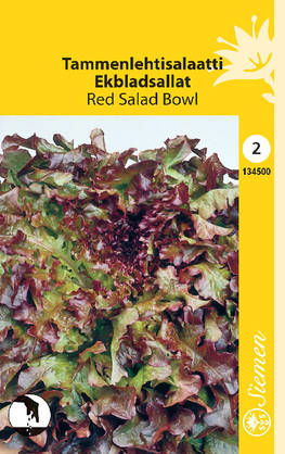 Salaatti, tammenlehti-, Red salad siemen - Annossiemenet - 6415151345001 - 1