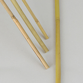 Kukkakeppi,  bambu 150 cm - Kasvintuenta - 7312600059252 - 1