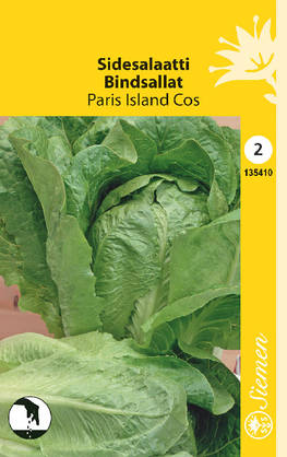 Salaatti, side-, Parris island  siemen - Annossiemenet - 6415151354102 - 1