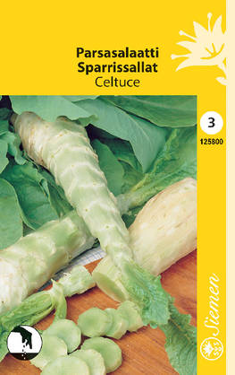 Salaatti, parsa-, Celtuce siemen - Annossiemenet - 6415151258004