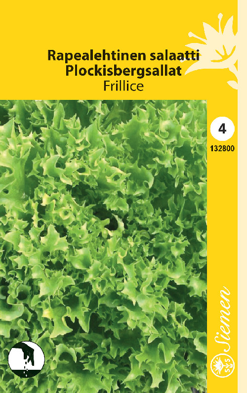 Salaatti, j-, Frillice siemen - Annossiemenet - 6415151328004 - 1