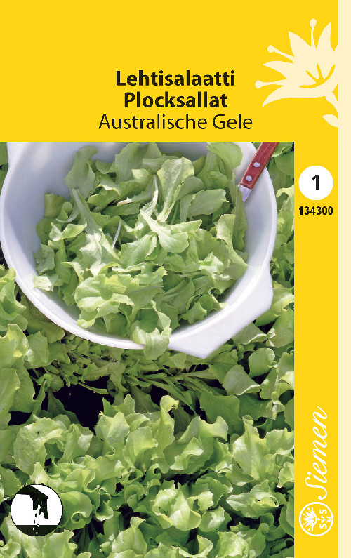 Salaatti, lehti-, Australische siemen - Annossiemenet - 6415151343007 - 1