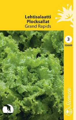 Salaatti, lehti-, Grand r siemen - Annossiemenet - 6415151346008 - 1