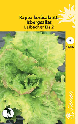 Salaatti, jvuori-, Laibacher siemen - Annossiemenet - 6415151329209 - 1