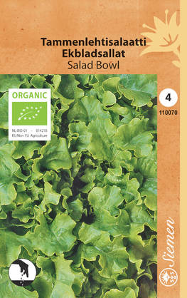 Salaatti, tammenlehti-, Salad b. siemen - Annossiemenet - 6415151100709