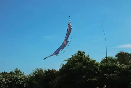 Haukka, siipiväli 1,4m - Tuholaiset - 5036200129680 - 1