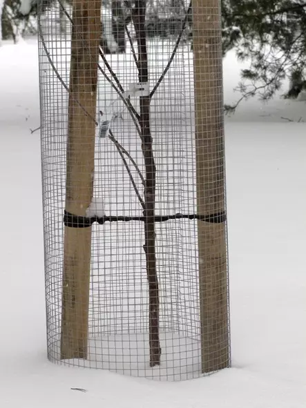 Myyräverkko 1,2m* 25m - Kasvinsuojaus - 6430040621080 - 1