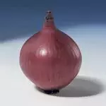 Salottisipuli 500g, `Red Sun` - Istukassipulit - 8713793000240 - 3