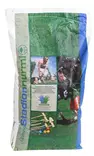 Stadionnurmi 10kg - Nurmikon siemenet - 6415152801100 - 2