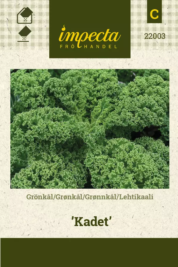 Kaali, lehti- siemen - Annossiemenet - 7332756220030 - 1