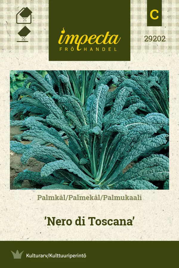 Kaali, palmu- siemen - Annossiemenet - 7332756292020 - 1