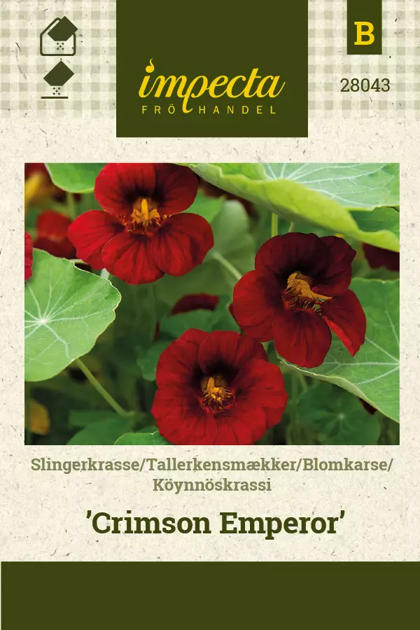 Krassi, köynnös- siemen - Annossiemenet - 7332756280430 - 1