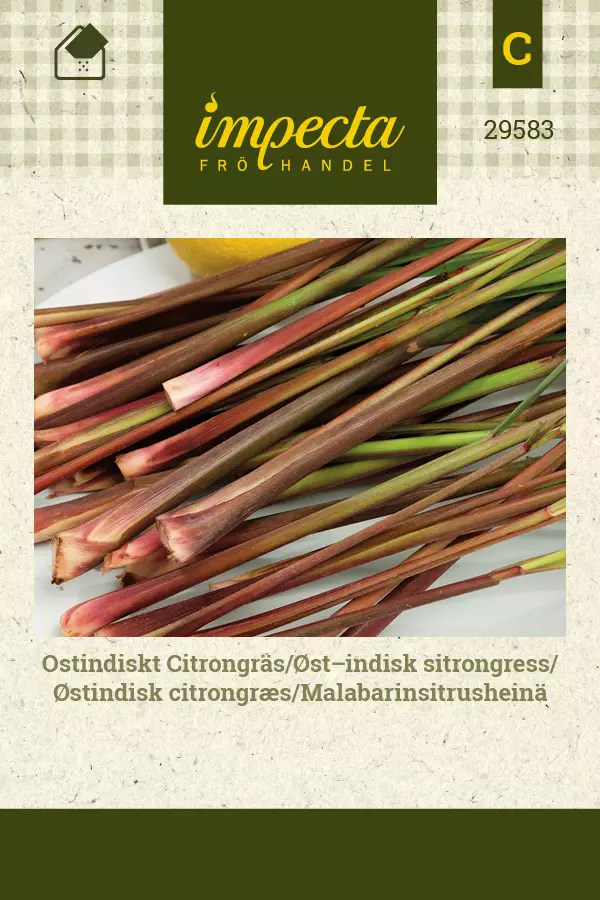 Malabarinsitrusheinä siemen - Annossiemenet - 7332756295830 - 1