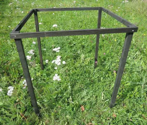 Marjapensastuki - Kasvintuenta - 6430068432460 - 1