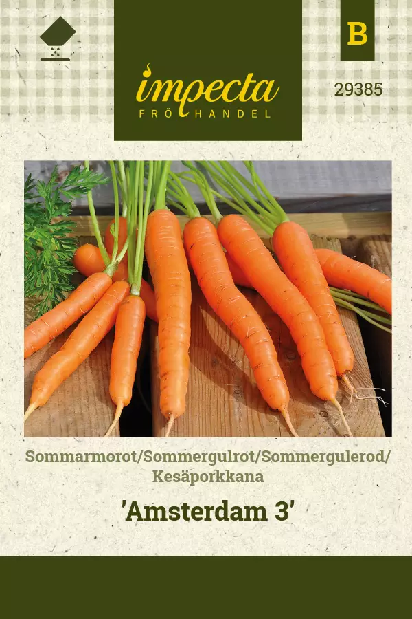 Porkkana, kesä- siemen - Annossiemenet - 7332756293850 - 1