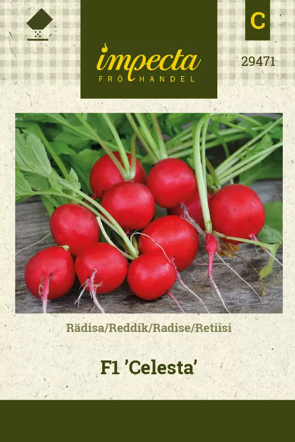 Retiisi siemen - Annossiemenet - 7332756294710 - 1