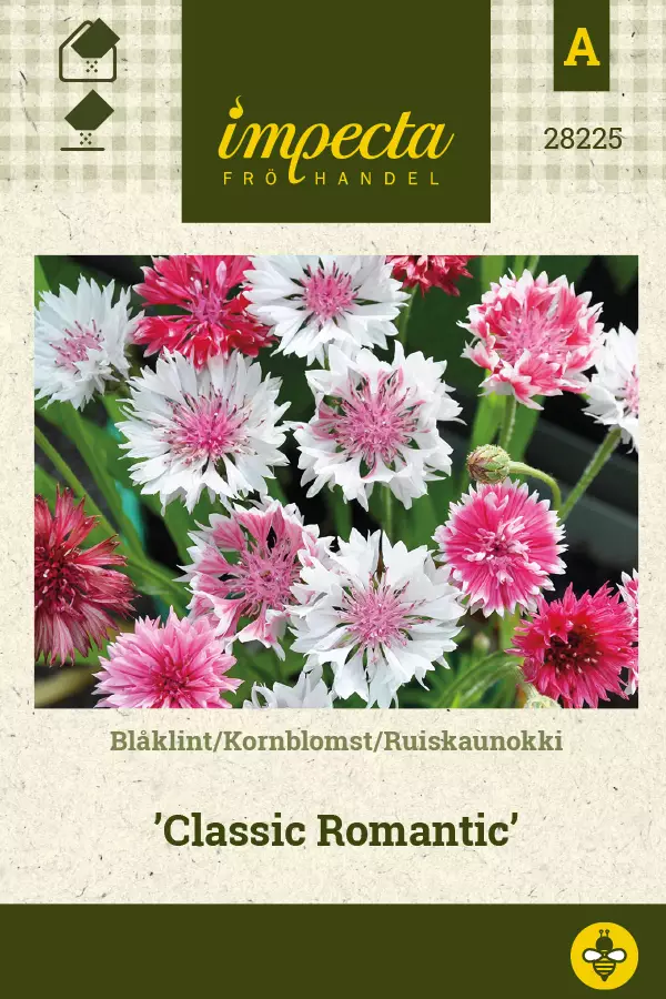 Ruiskaunokki siemen - Annossiemenet - 7332756282250 - 1