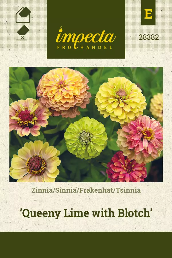 Tsinnia siemen - Annossiemenet - 7332756283820 - 1