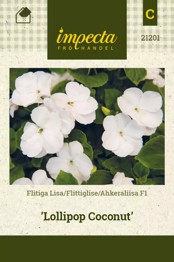 Ahkeraliisa siemen - Annossiemenet - 7332756212011 - 1