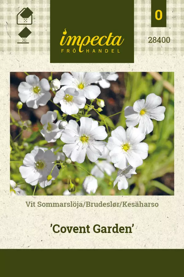 Harso, kesä- siemen - Annossiemenet - 7332756284001 - 1