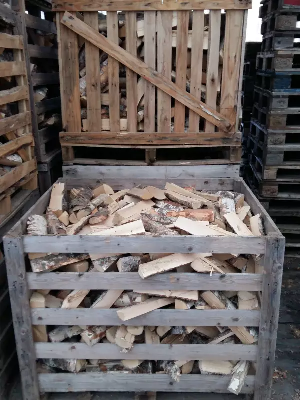 Koivupilke häkki - Klapit / Joulukuuset - 360101 - 1