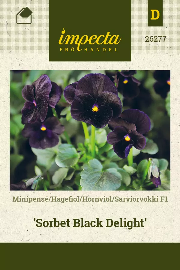 Orvokki siemen - Annossiemenet - 7332756262771 - 1