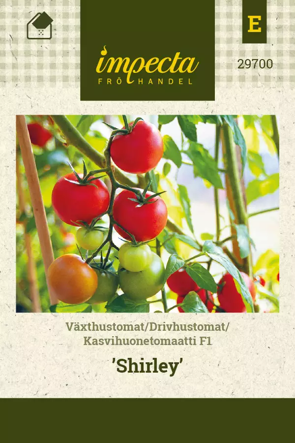 Tomaatti, kasvihuone- siemen - Annossiemenet - 7332756297001 - 1