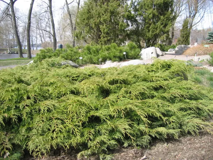 Tuivio 30-40 - Muut havut - 3940564669831 - 1