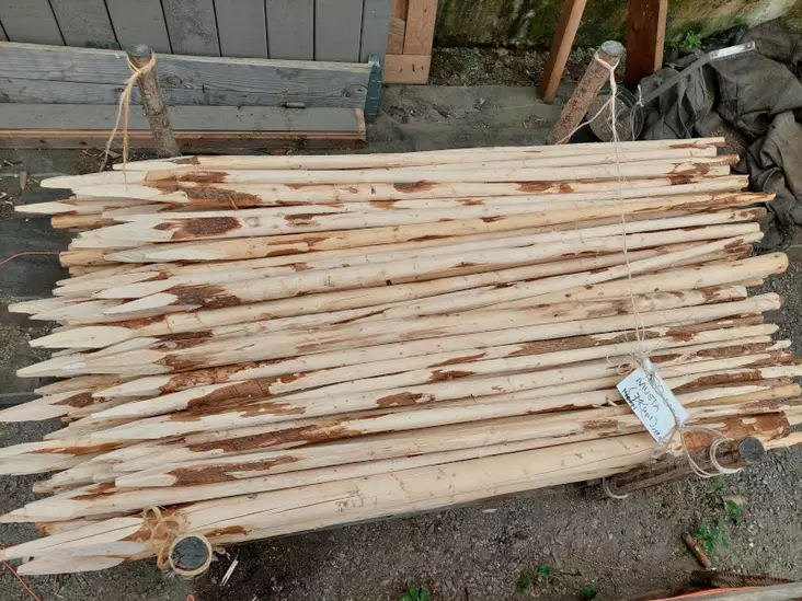 Tukiseiväs 150cm musta - Kasvintuenta - AB10010011221 - 1