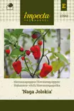 Paprika, tulinen chili/havanna- siemen - Annossiemenet - 7332756239612 - 1