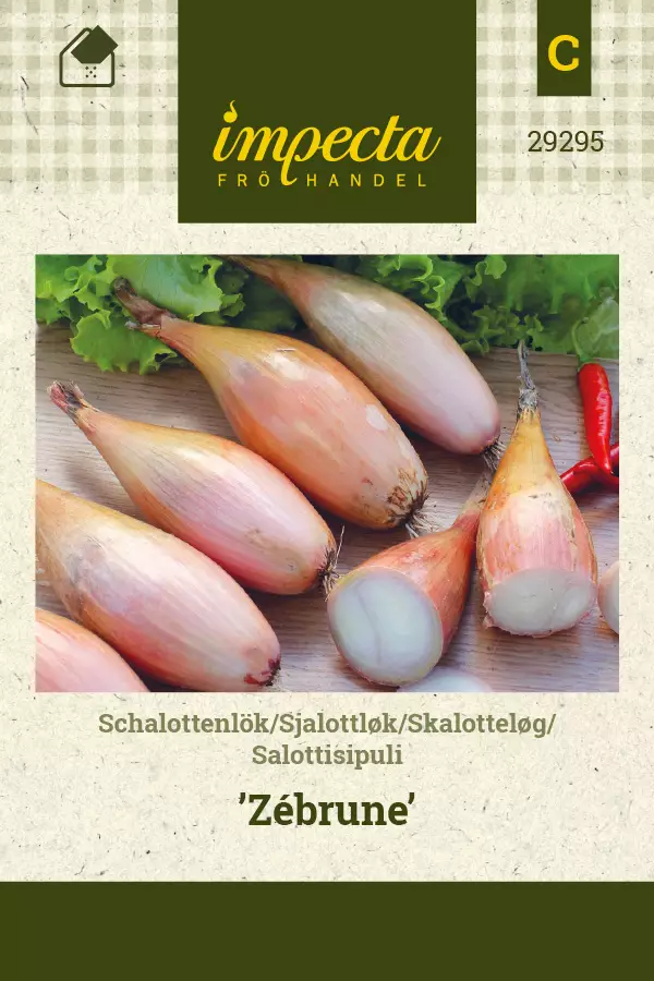 Sipuli, salotti- siemen - Annossiemenet - 7332756292952 - 1