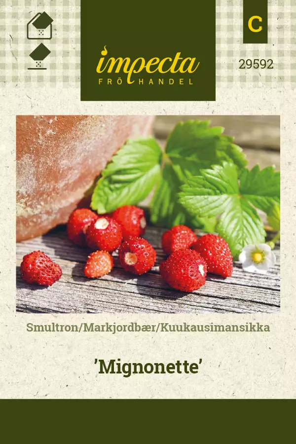 Mansikka, aho- siemen - Annossiemenet - 7332756295922 - 1