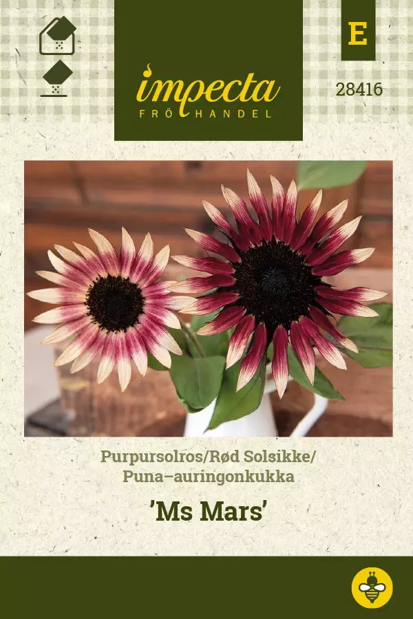 Auringonkukka, puna- siemen - Annossiemenet - 7332756284162 - 1