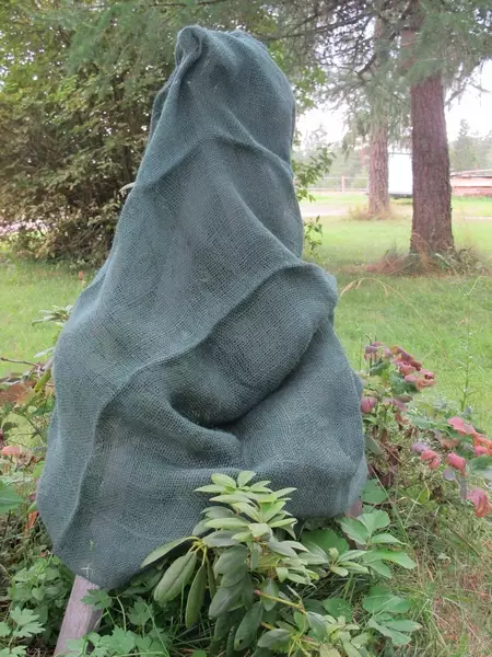 Juuttihuppu vihreä 70*120 - Kasvinsuojaus - 6430040625682 - 1