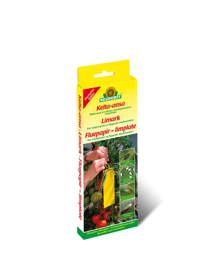 Kelta-ansa - Tuholaiset - 4005240191392 - 1