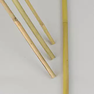 Kukkakeppi, bambu 150 cm - Kasvintuenta - 7312600059252 - 1