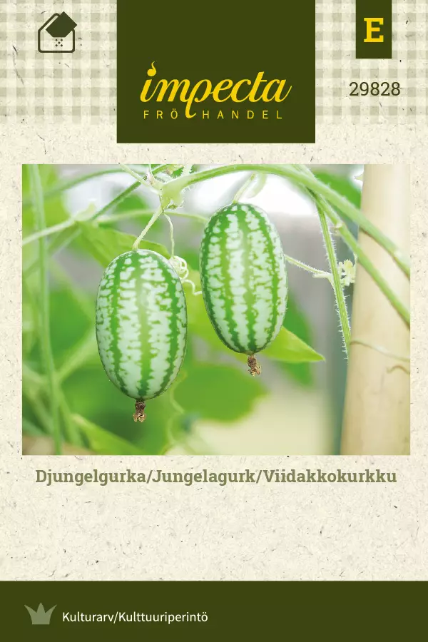 Kurkku, viidakko- siemen - Annossiemenet - 7332756298282 - 1