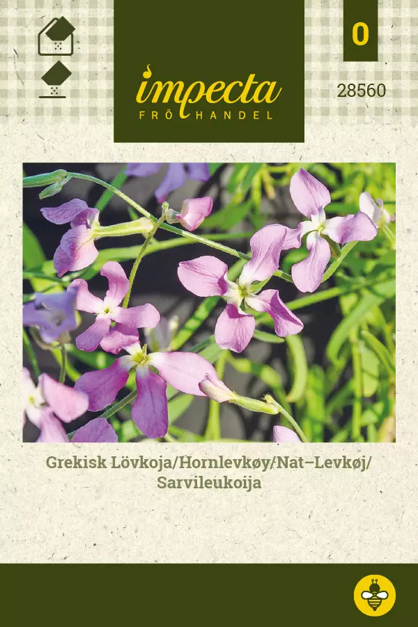 Leukoija, sarvi- siemen - Annossiemenet - 7332756285602 - 1