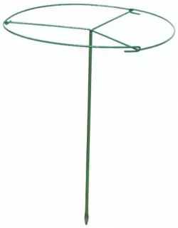 Pensastuki 80cm Esvi - Kasvintuenta - 6417036041312 - 3