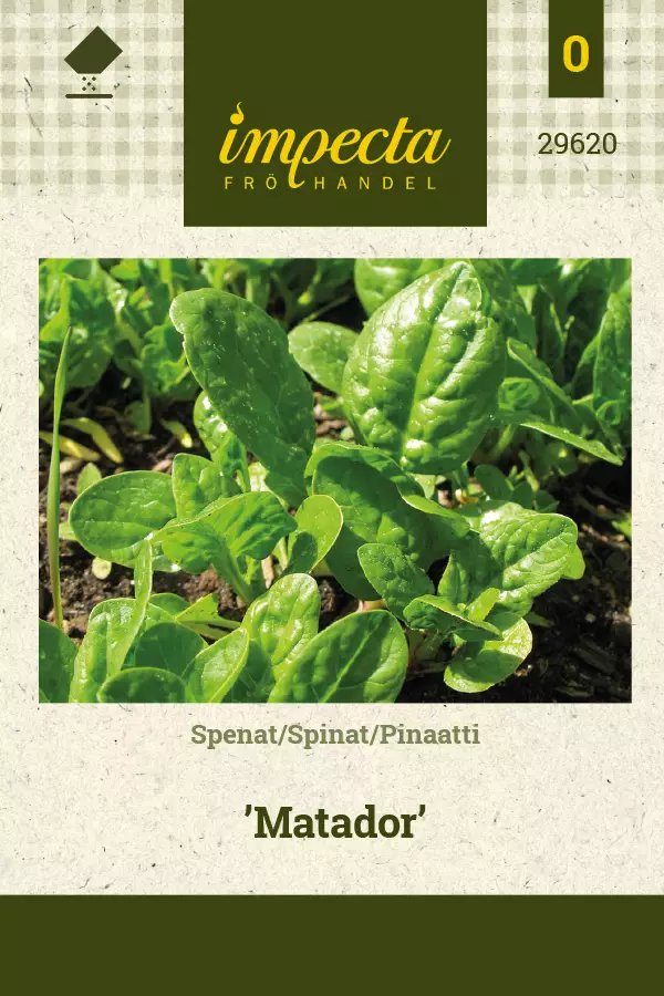 Pinaatti siemen - Annossiemenet - 7332756296202 - 1