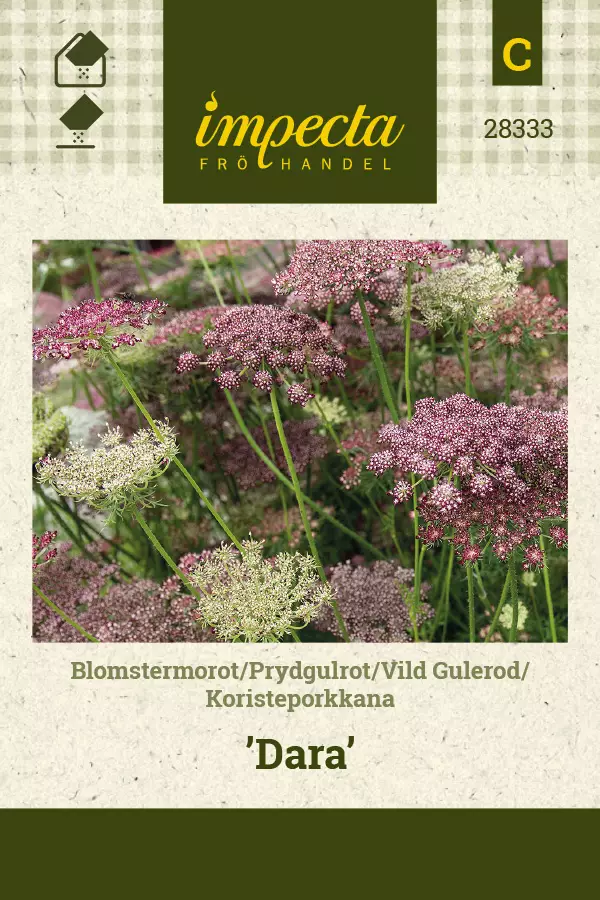 Porkkana, koriste- siemen - Annossiemenet - 7332756283332 - 1