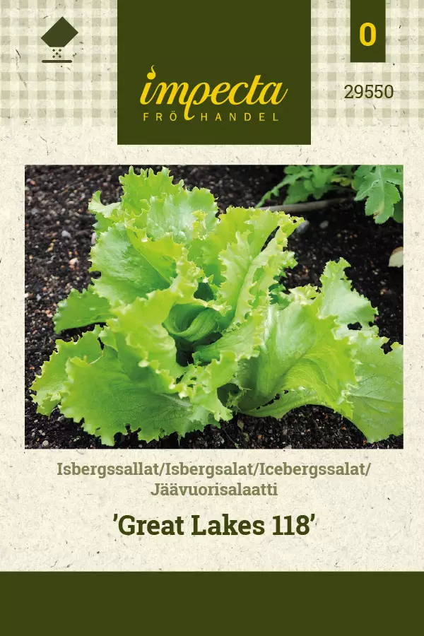 Salaatti, jäävuori- siemen - Annossiemenet - 7332756295502 - 1