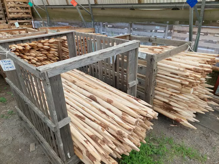 Tukiseiväs 170/180cm sininen - Kasvintuenta - AB10010011222 - 1