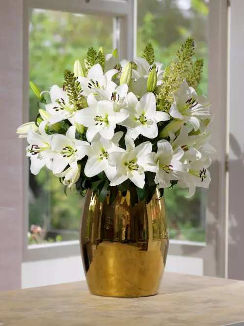 Värililja valkoinen - Liljat - AB10010011032 - 1