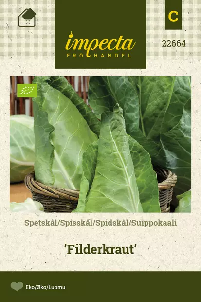 Kaali, suippo- siemen - Annossiemenet - 7332756226643 - 1