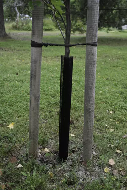 Rungonsuojaverkko 1 kpl, 55cm - Kasvinsuojaus - 6430068433153 - 1