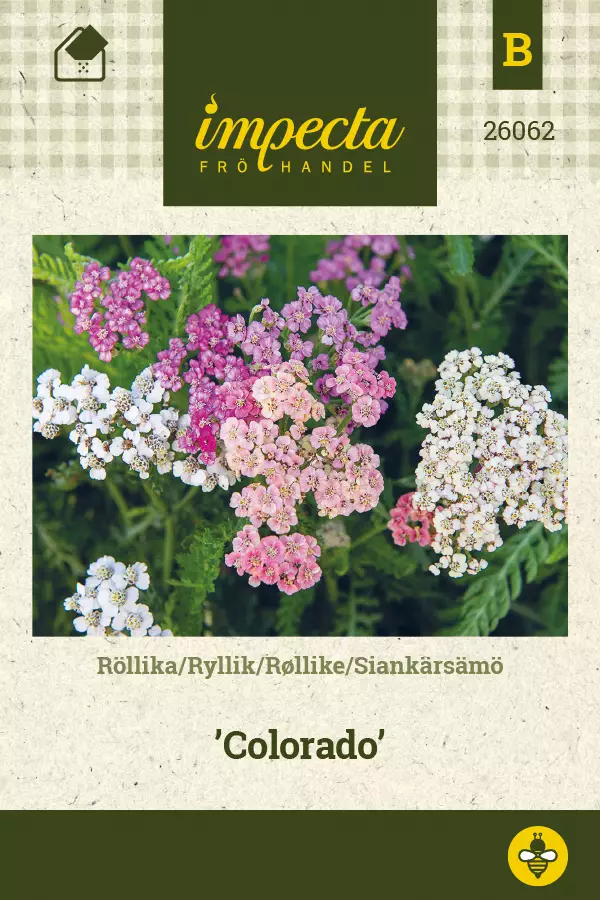 Siankärsämö siemen - Annossiemenet - 7332756260623 - 1