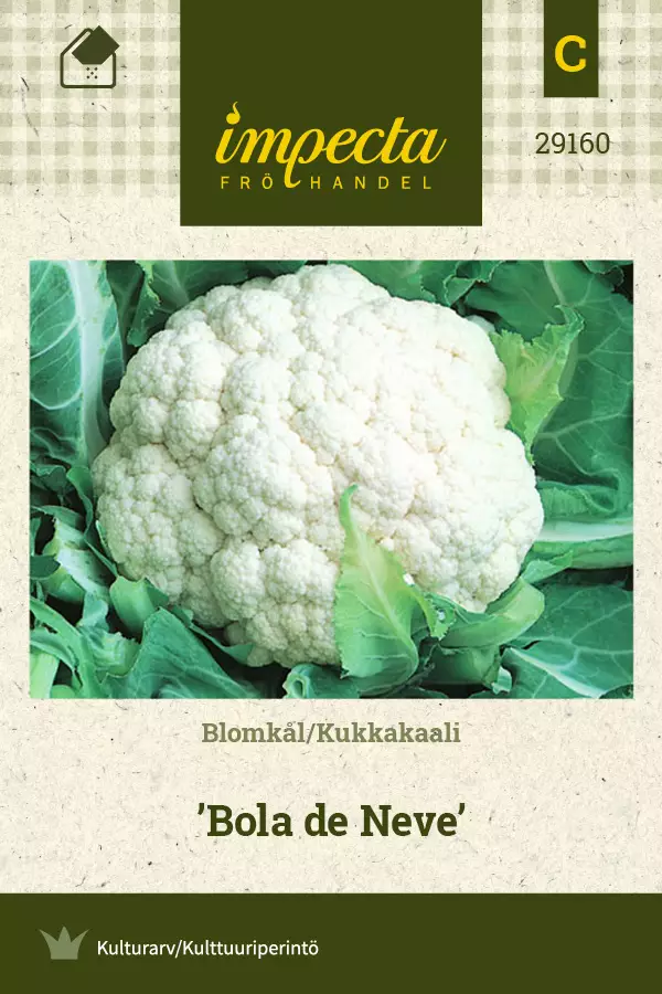 Kaali, kukka- siemen - Annossiemenet - 7332756291603 - 1