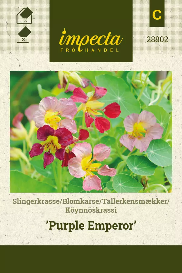 Krassi, köynnös- siemen - Annossiemenet - 7332756288023 - 1