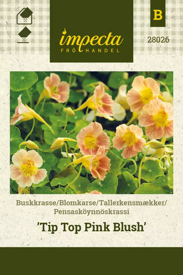 Krassi, pensasköynnös- siemen - Annossiemenet - 7332756280263 - 1